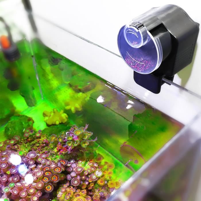 Distributeur daliments pour poissons - Compact - Utilisation intérieure - Alimentation par batterie - Plastique