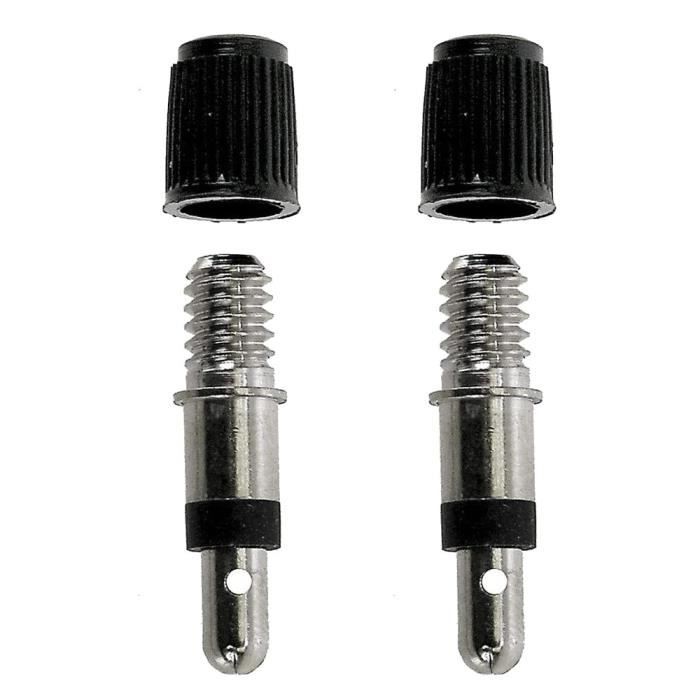 2x VALVE DUNLOP EXPRESS HOLLANDAISE OBUS AVEC CAPUCHON ANTI