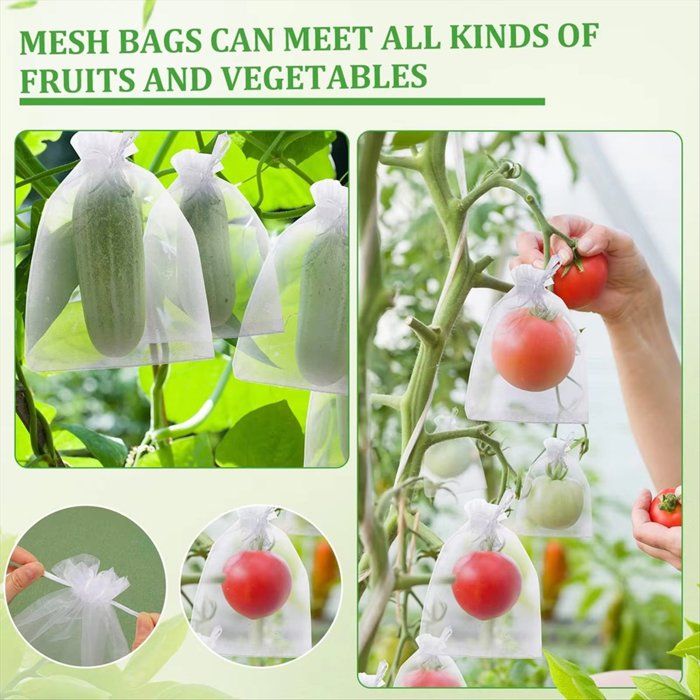 Filet De Course Fruits Sac de Protection des Fruits Sac en Filet à Fruits avec Cordon de ...