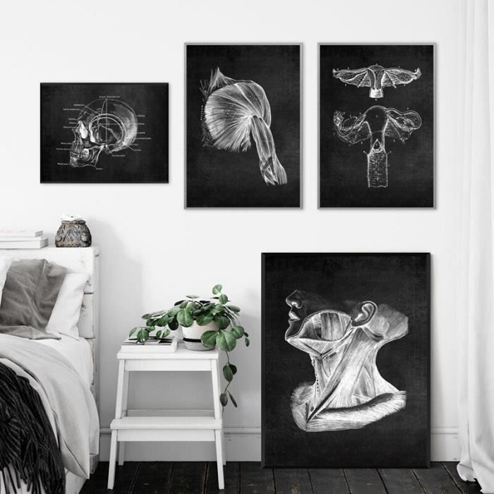 Poster Anatomie Musculaire 50x70 Cm - Tissu Soie, Idéal Pour étudiants, Salles De Classe, Cadeau Médical