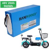 Batterie rechargeable Étanche HA201 48V 20AH 960W pour vélo électrique HANIWINNER