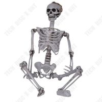 Squelette d'Halloween 165CM - TECH DISCOUNT - Posture réglable - Décoration terrifiante pour Halloween