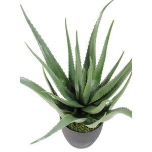 FLEUR ARTIFICIELLE Plante artificielle Aloe vera en pot - plante pour