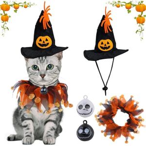Costume D'Halloween Drôle De Chat Sorcière Halloween T-shirt