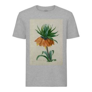 T-SHIRT T-shirt Homme Col Rond Gris Fritillaire Imperiale Planche Illustration Botanique Ancienne Fleurs