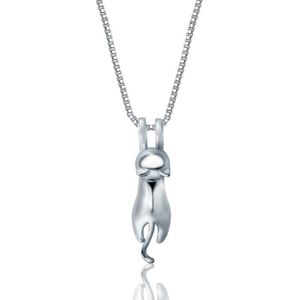 Idee Cadeau Chat Cdiscount Idee Cadeau Chat Cdiscount