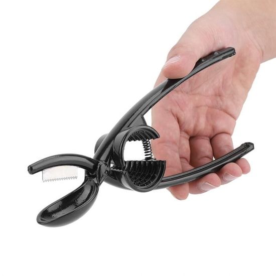 Pince à Châtaignes En Inox | Ouvre Noix & Châtaignes | Design Ergonomique | Sécurisée
