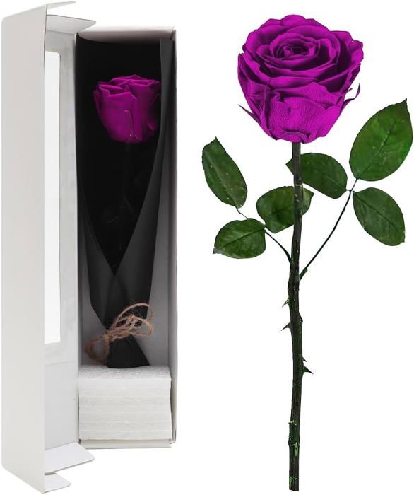 NEWNOVE Véritable Rose Préservée Avec Colliers, Cadeau Pour NEWNOVE Véritable Rose Préservée Avec Colliers, Cadeau Pour
