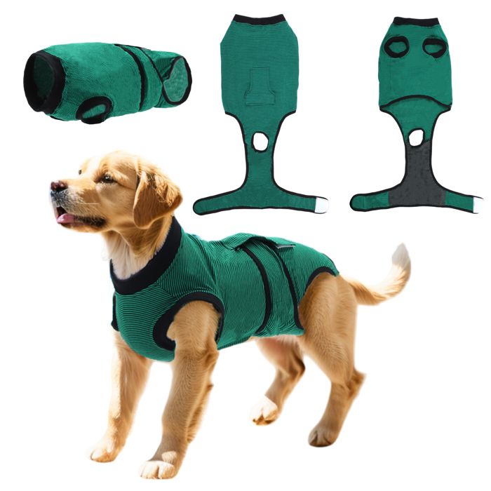 Body Chirurgical Pour Chien Post-Stérilisation - Combinaison Convalescence Lavable - Protection Plaies, Alternative Au Collier Élisabéthain - Taille XL