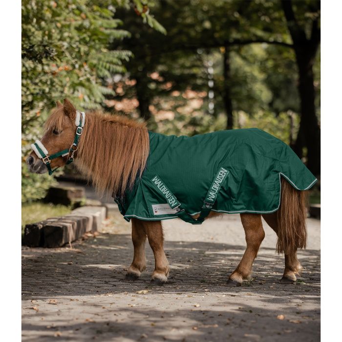 Meilleurs prix pour Couverture dextérieur pour cheval Waldhausen Shetty Light - Vert - 90 cm