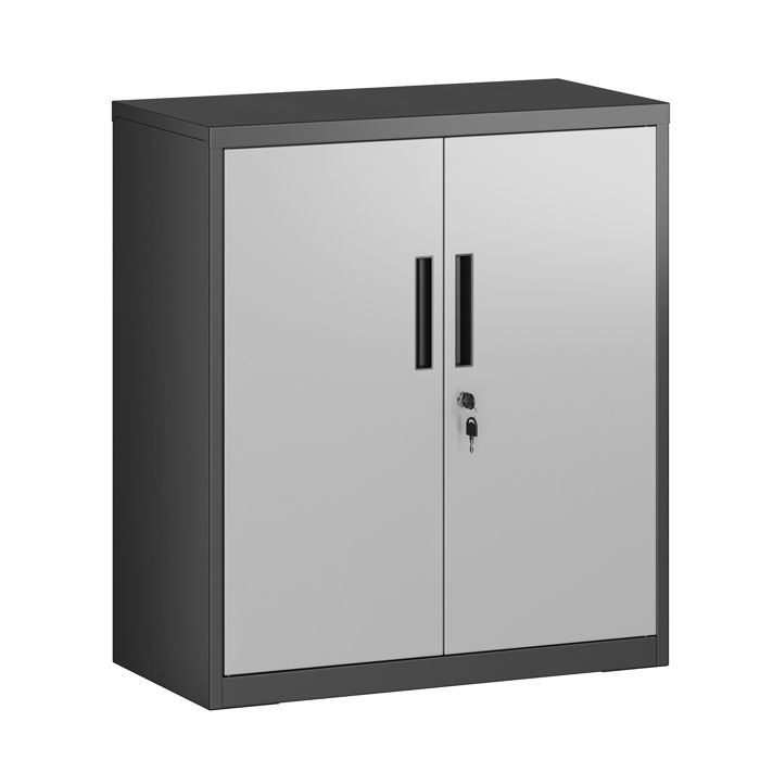 Armoire de classement multi-usages avec 2 portes armoire de rangement en acier pour bureau salon argenté/noir Armoire de classement multi-usages avec 2 portes armoire de rangement en acier pour bureau salon argenté/noir