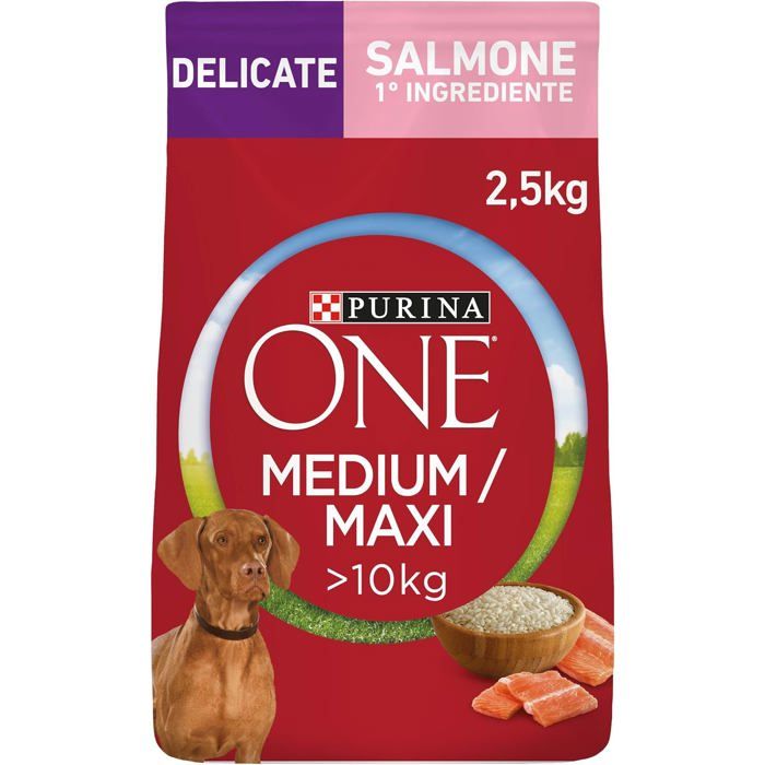 Comparer les prix de Croquettes chien - Purina ONE - Medium/Maxi 10 kg - Saumon 1er ingrédient - Oméga‑3 - Prébiotique