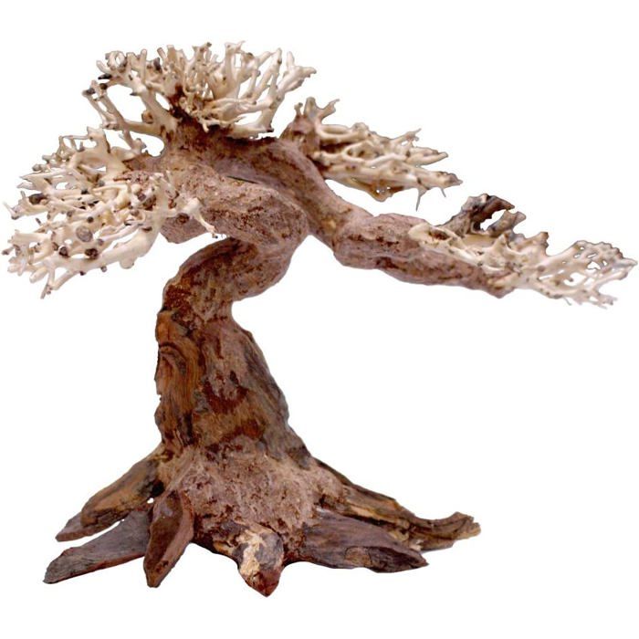 Comparer les prix de Amtra - Oriental Wind 5 Bois Fait Main pour Aquarium 25x10x18 cm Marron