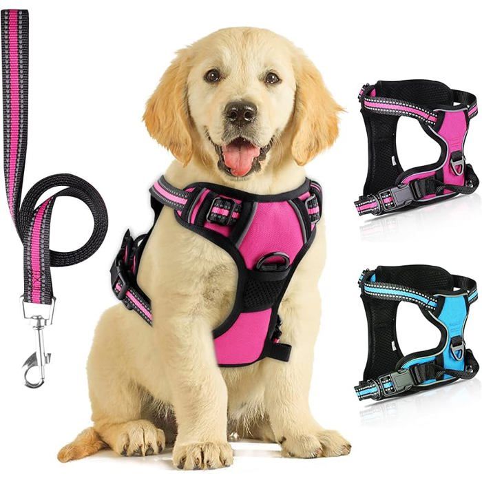 Harnais Chien Harnais Anti Traction pour Chien Harnais Chien Anti Traction Réfléchissant avec Laisse pour Chien S Rose