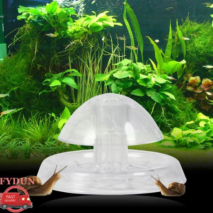 FYDUN piège à escargots daquarium Piège à Escargots Receveur Daquarium Sûr en Plastique Environnemental animalerie eclairage