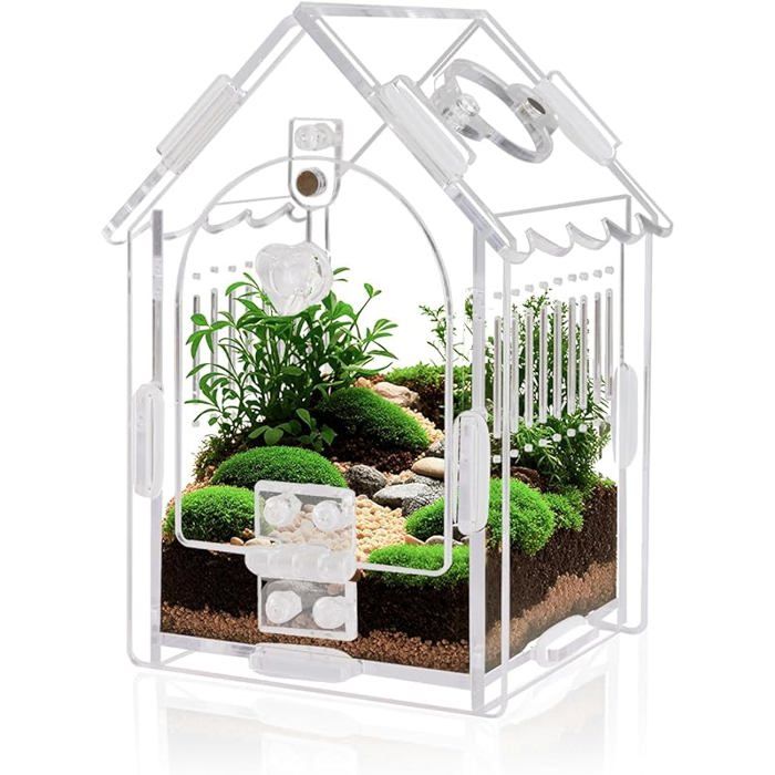 Boîte de trport en acrylique pour reptiles - boîte d élevage pour escargots tarentules lézs scorpions