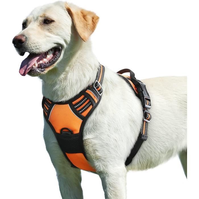 harnais chien anti traction, arnet pour chien facile à mettre harnais  réfléchissant réglable avec attache devant easy walk arnais