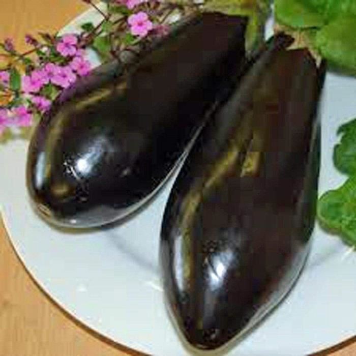 Aubergine, Black Beauty Aubergine Seed, Heirloom, organiques, non ogm, 25 graines, Veget [497