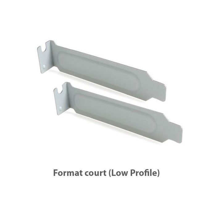 N.C. Lot 2X Caches Pci Cover Court Low Profile Métalliques Boîtier PC Case - Sans Vis