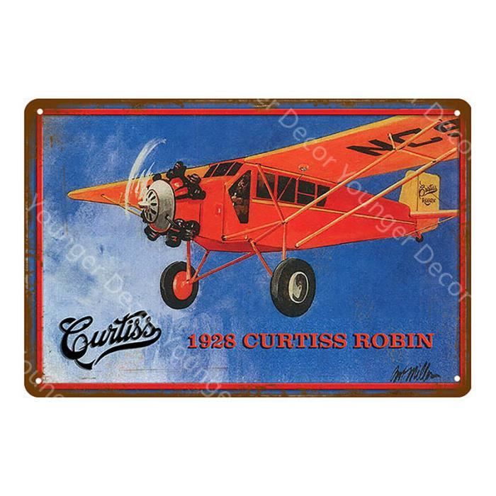 PLAQUE FUNÉRAIRE NUAGE 35 cm X 21 cm AVION DE CHASSE FPF9032