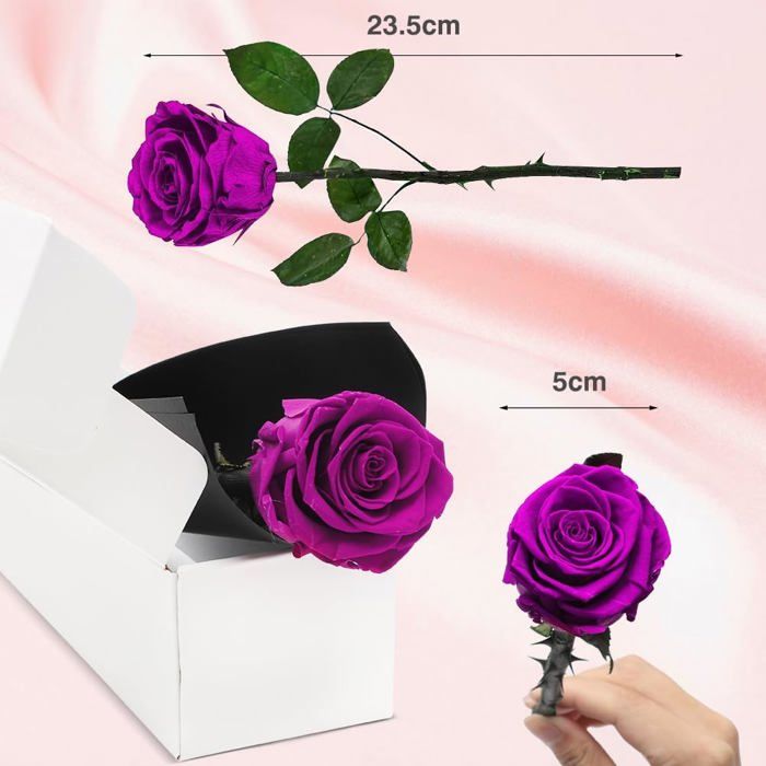 Statue XL De Qualité Supérieure Représentant Une Bougie Solaire Eternelle Avec Des Details Dores Pour Cimetiere Ou Tombe 90676658