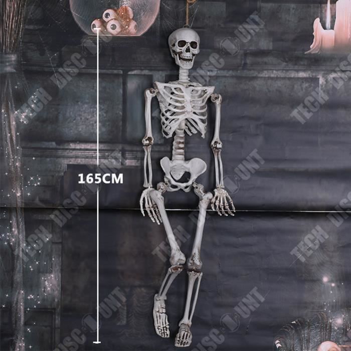 Squelette Halloween Taille Humaine 165 Cm - Décoration Extérieure Réaliste En ABS, Résistant Aux Intempéries