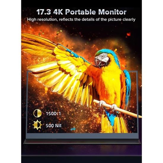 Écran Portable Pour PC 17 Pouces 4K HDR IPS 100sRGB 15001 VESA Parfait et Entrée HDMI MINI USB
