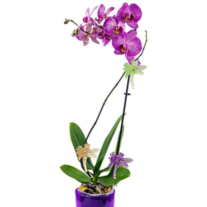 GEBETTER 10Pcs 30cm Tuteur Plante 20Pcs Clip Attache Tige Support Plante  Grimpante Orchidée Maison Jardin : : Jardin