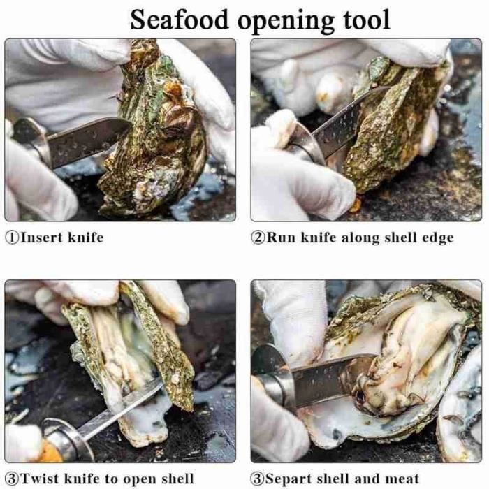 LTS FAFA Couteau à levier Portable en acier inoxydable pour fruits de mer  avec manche en bois Couteaux à huîtres Ouvre-fruits de mer Shucker Shell à  arêtes vives