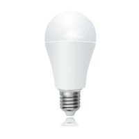 Ampoule LED avec détecteur de présence E27 10 W équivalent à 100 W blanc neutre~YJ6630