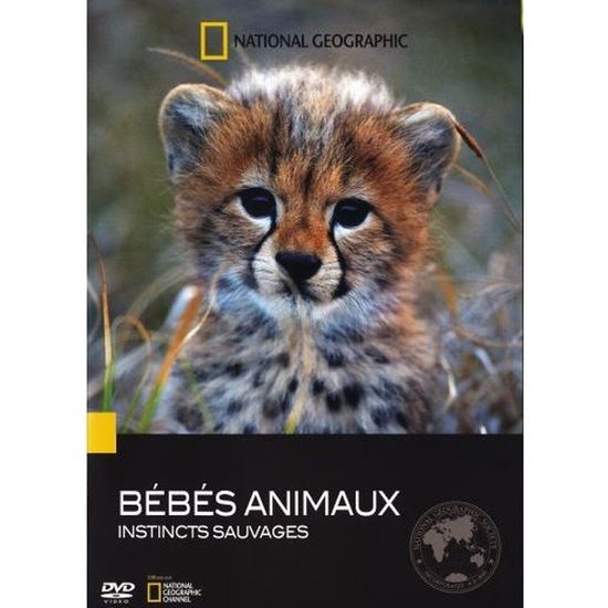 Dvd Bebes Animaux Instincts Sauvages Cdiscount Dvd