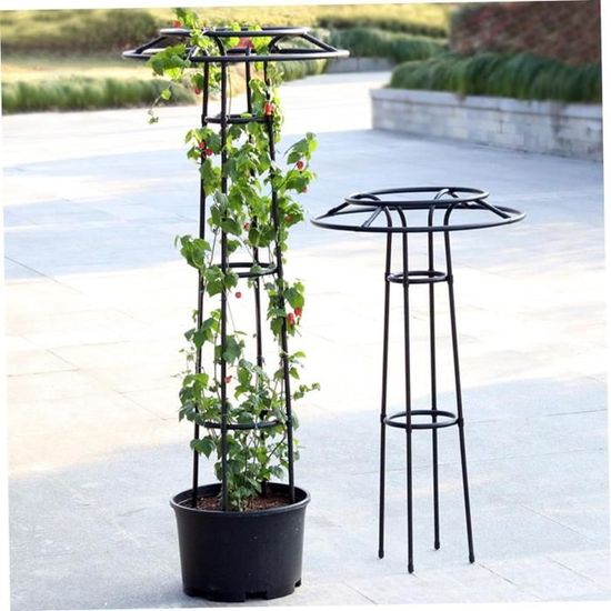Treillis Obélisque Pour Plantes Grimpantes - Jardinière Obélisque