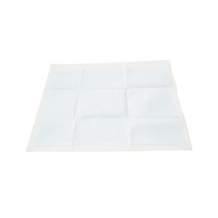 Iris Ohyama, Lot de 60 tapis éducateurs super absorbants jetables-Apprentissage de la propreté pour chiot - Pet Pad NS-60W - 60 x