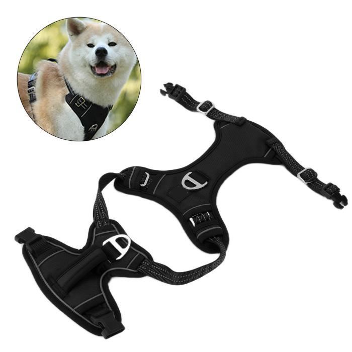 HARNAIS EASY GUARD WALK NELSON-X TAILLE L POUR TELLINGTON TTOUCH POLISH