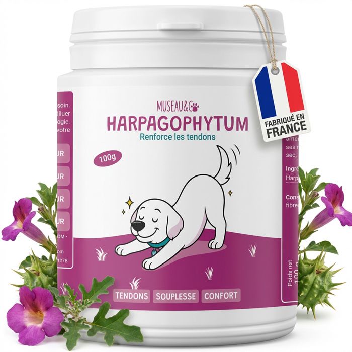 Meilleurs prix pour Museau & Co - Harpagophytum - Confort articulaire chiens et chats