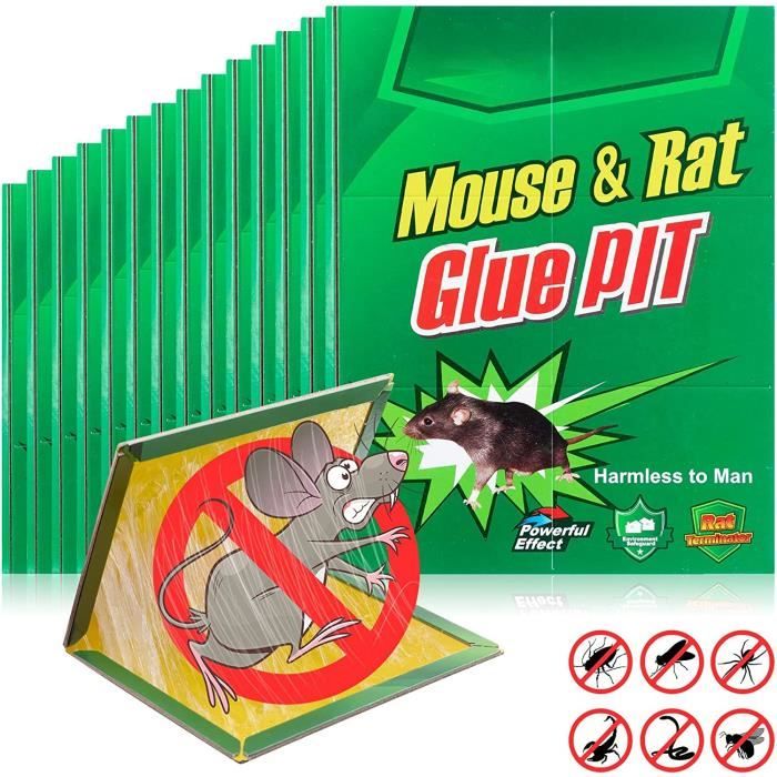 Piège à Souris à Rats, Colle très Collante, Pack de 5 Pièges à Souris,  Attrape Moustiques Cafards