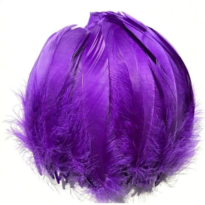 Mbsomnus 600 Pièces Plumes Bleu Royal 5-12 Cm - Plumes Naturelles Pour DIY, Arts Créatifs, Costumes Et Décorations
