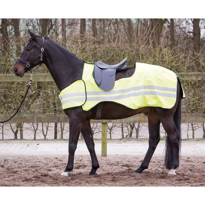 Feuille D'exercice Réfléchissante Pour Cheval Weatherbeeta - Taille 4'9" - Orange