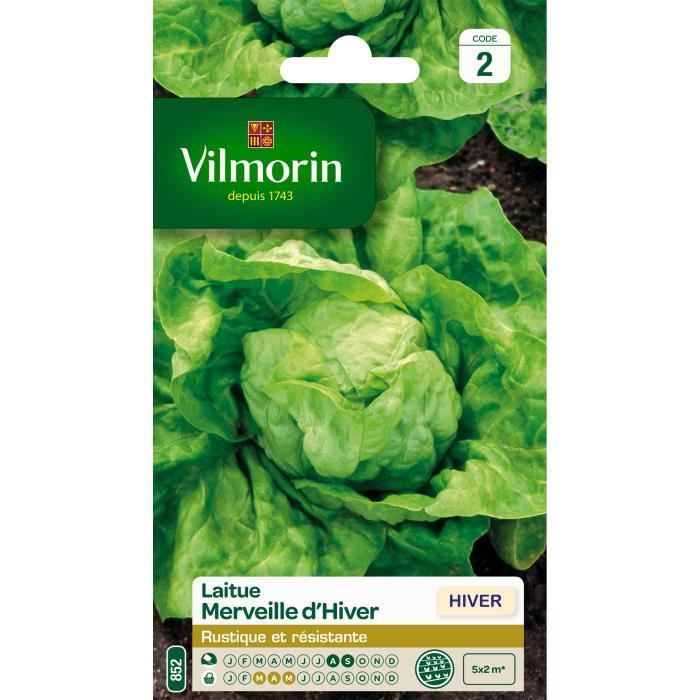 VILMORIN Laitue d’hiver Merveille d’hiver