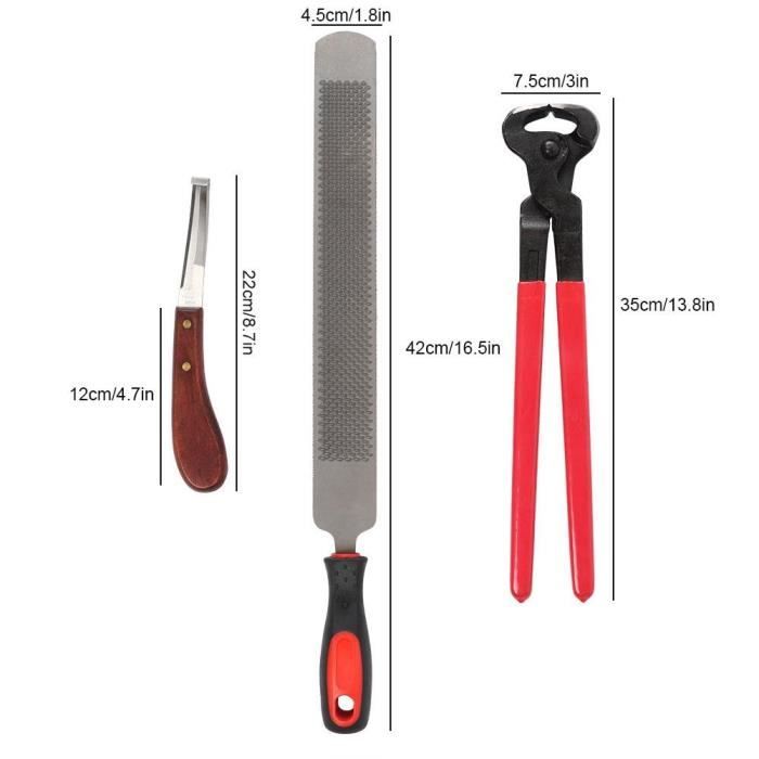 Kit Professionnel D'Outils De Maréchal-Ferrant - Pince à Cliquet, Râpe à Sabot - Solide & Robuste