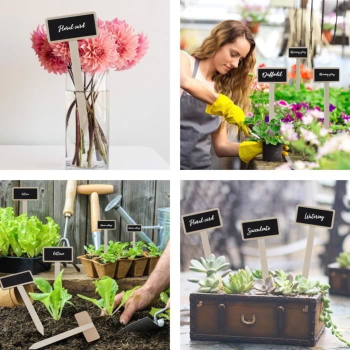 50 Pièces Étiquettes de Plantes, Étiquette de Jardin en Bois Solide