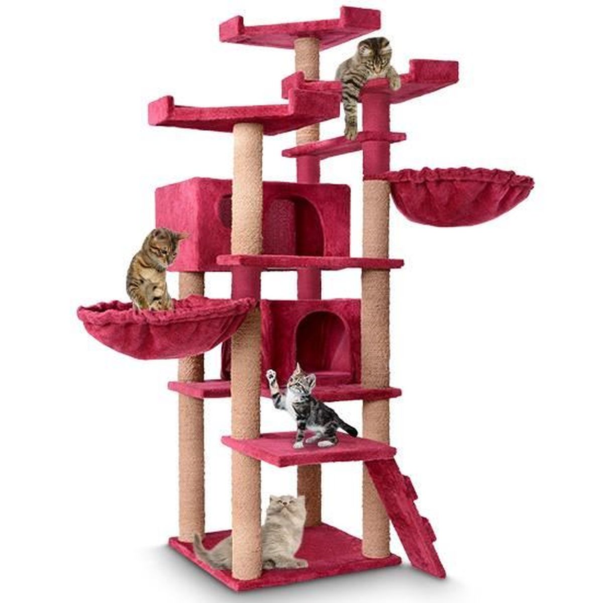 Arbre A Chat Geant Pour Grand Chats Pas Cher Griffoir Grattoir