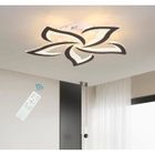 Ganeed Plafonnier LED,Moderne Dimmable plafonnier couloir,Noir,48w,3000K-6000K plafonnier fleur acrylique pour salon