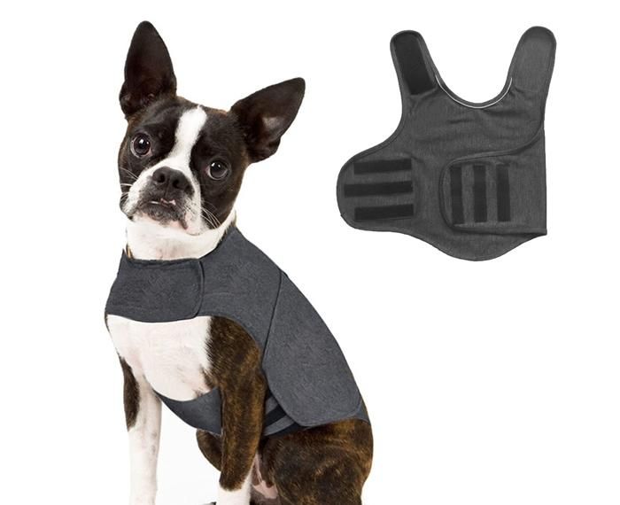 Meilleurs prix pour Veste confortable pour soulager lanxiété du chien gilet apaisant pour lanxiété du chien en cas dorage de voyage de visites