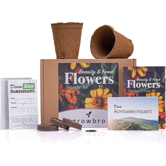 Kit de démarrage Bonsai Growbro Mimosa, votre premier bonsai Cadeau