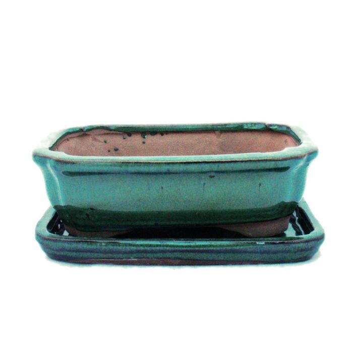 Bol à Bonsaï Ovale Avec Soucoupe - Taille Gr.5, Couleur Olive-brown, Dimensions 31x24x9 Cm - Idéal Pour Plantation Et Décoration