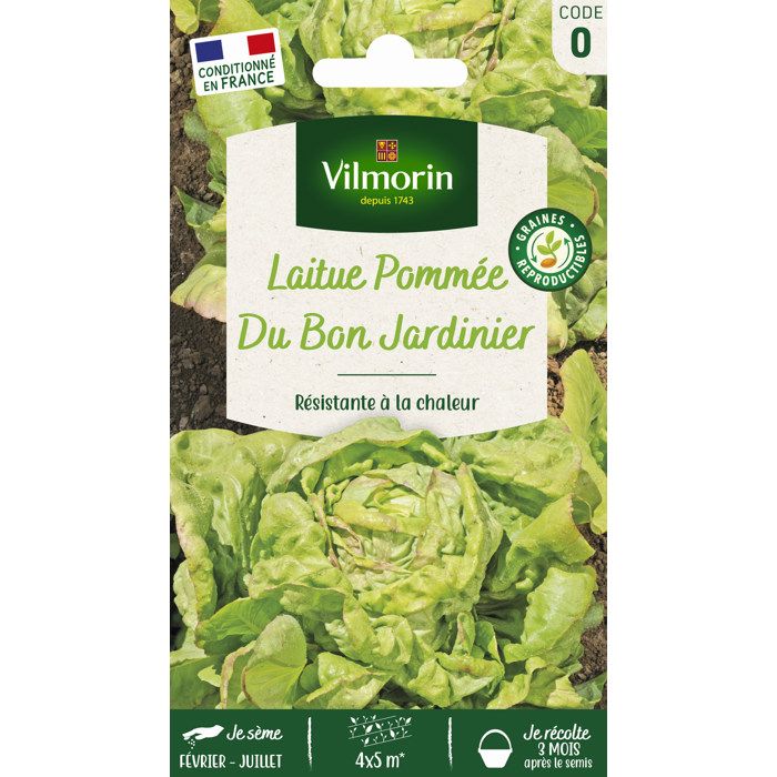 VILMORIN Laitue Pommee du bon jardinier