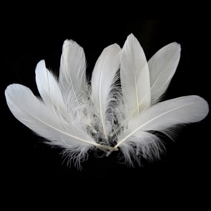 Neotrims Ruban De Soie, Avec Véritables Plumes, à Franges De 15 à