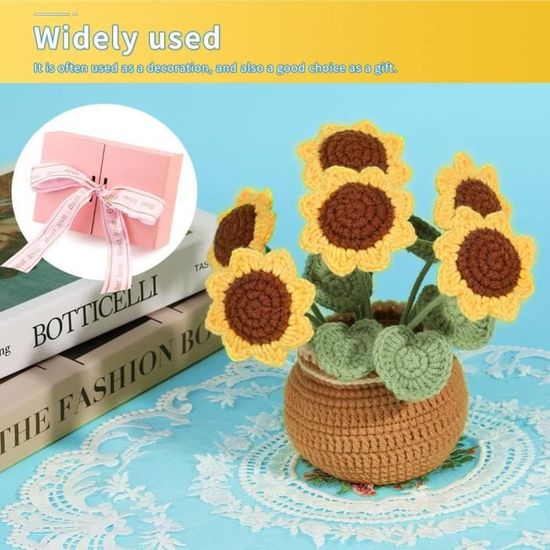 Kit De Fleurs Au Crochet Pour Débutants, Ensemble D'accessoires En Tricot Facile Avec Instructions (français Non Garanti), Bouquet De Fleurs En Pot