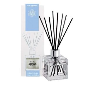 PARFUM À BRÛLER BOUQUET CUBE BRINS PARFUMES 100 ML BOIS D EAU - PA